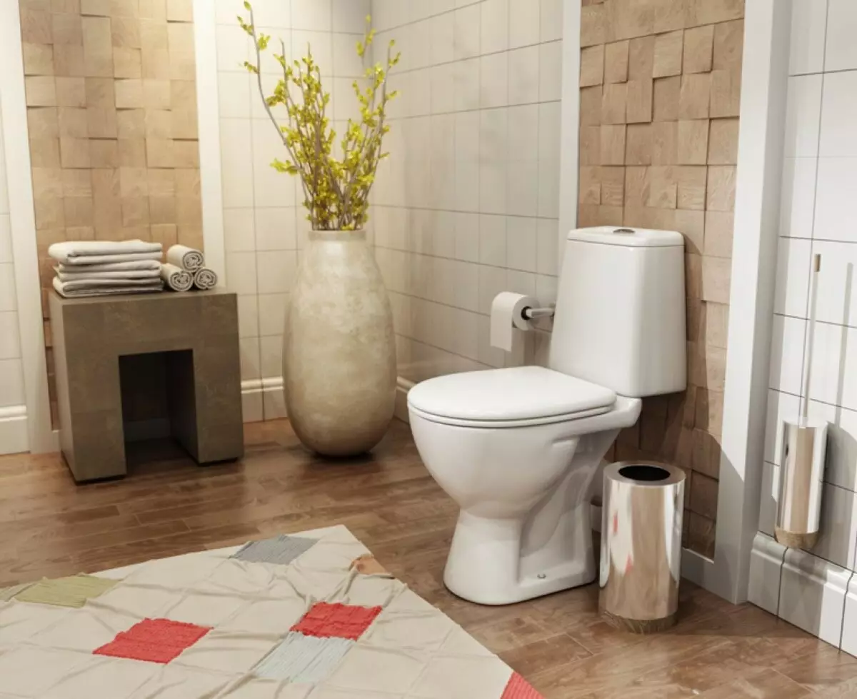 केराग शौचालय: निलम्बित, आउटडोर र फरी मोडेलहरूको सुविधाहरू 10556_23