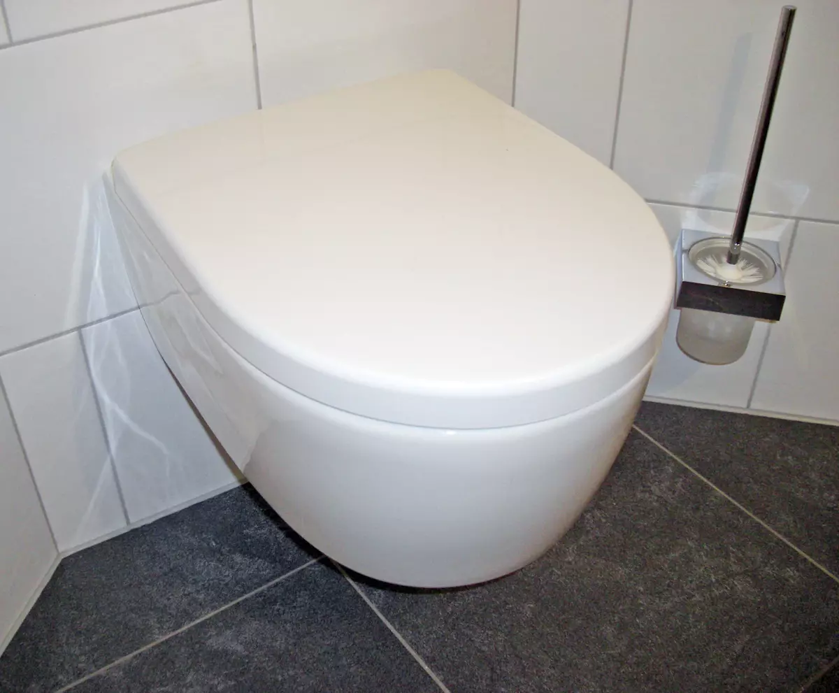 Keramag-Toilette: Merkmale von suspendierten, im Freien und Furry-Modellen 10556_3