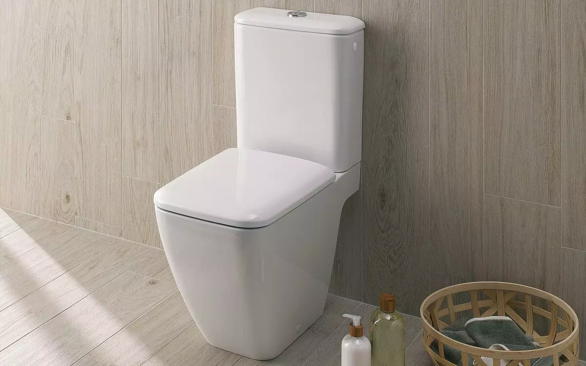 Keramag-Toilette: Merkmale von suspendierten, im Freien und Furry-Modellen 10556_4