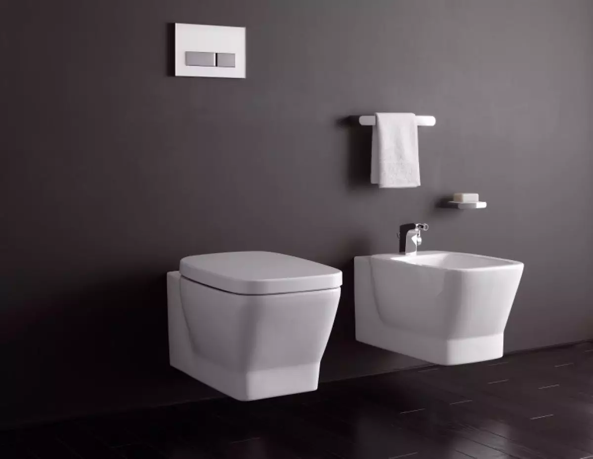 केरामाग शौचालय: निलंबित, आउटडोर और प्यारे मॉडल की विशेषताएं 10556_7
