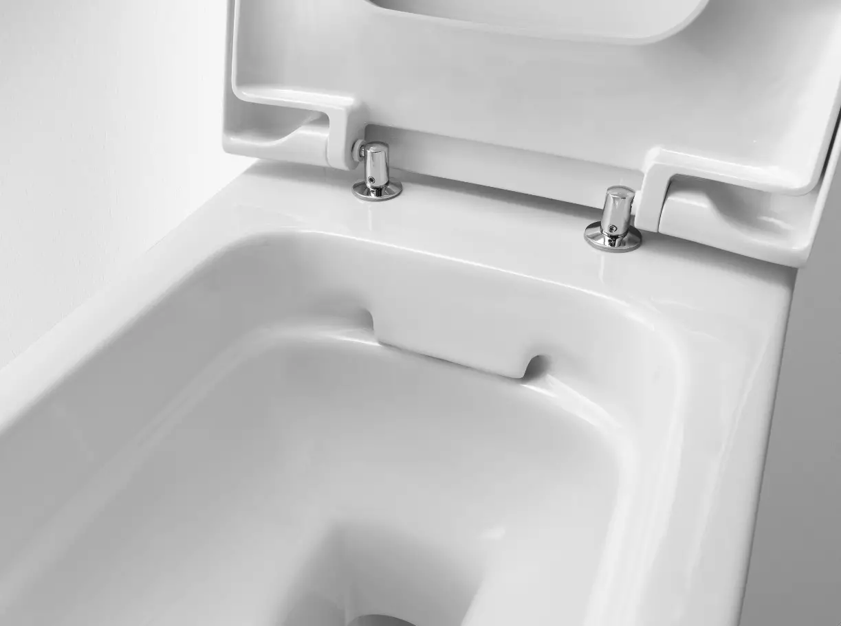 Keramag toilet: Eienskappe van geskors, buite en harige modelle 10556_8