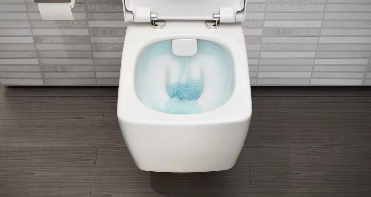केरामाग शौचालय: निलंबित, आउटडोर और प्यारे मॉडल की विशेषताएं 10556_9
