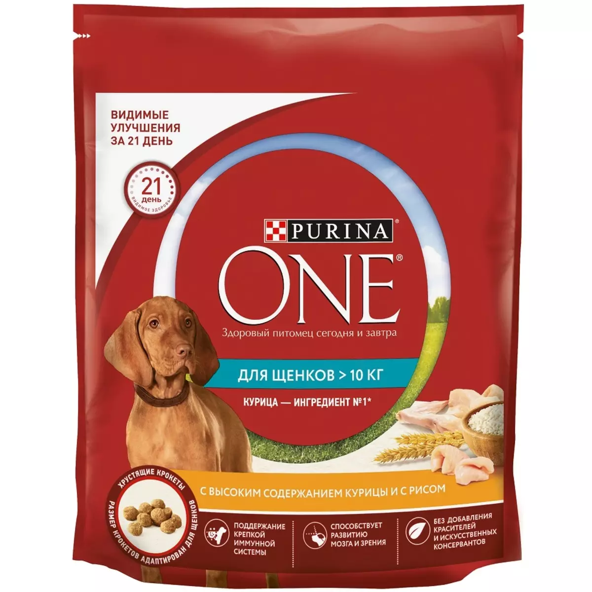 Purina koer feed: kuivtoit suurt ja keskmise tõud, doggy märg konserveeritud premium klassi kutsikad ja täiskasvanud koerad, ülevaateid 10616_11
