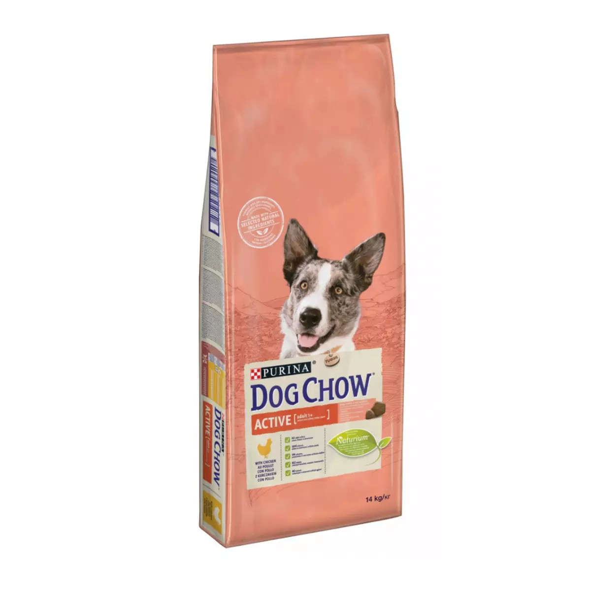 Purina koer feed: kuivtoit suurt ja keskmise tõud, doggy märg konserveeritud premium klassi kutsikad ja täiskasvanud koerad, ülevaateid 10616_9