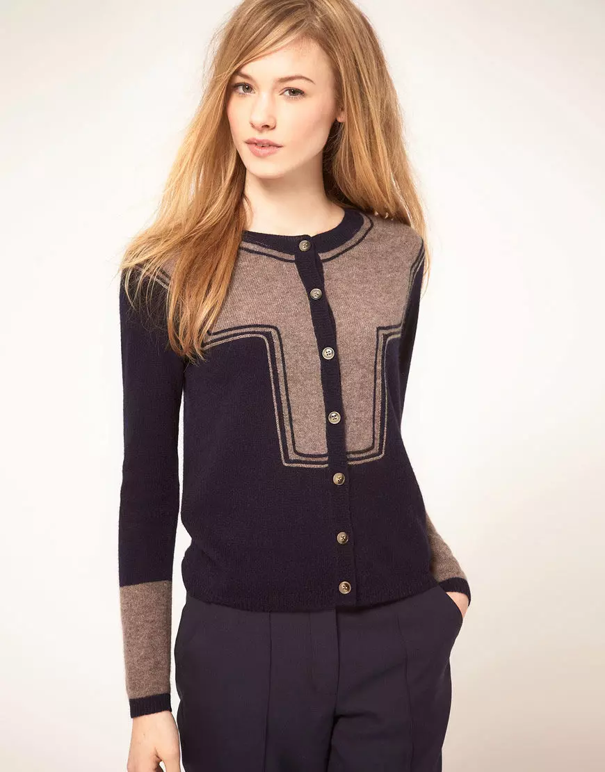 Female Cashmere Jumper (66 Valokuvat): V-kaula, Classic Cashmere Jumper 1065_15