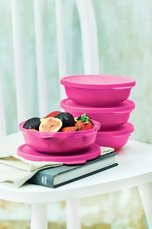 Tupperware Dishes（35張）：公司智能菜餚的安全。大多是什麼樣的菜餚？顧客評論 10717_11