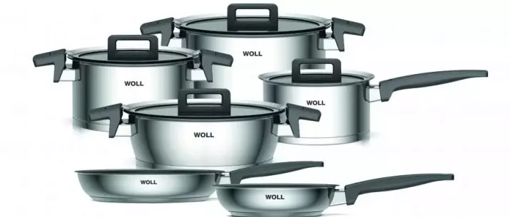 Cookware pro indukční desky: Co je vhodné? Jak si vybrat sadu pro vaření panelu? Indukční značky. Hodnocení Výrobci 10741_35