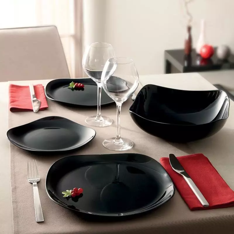 เครื่องใช้สีดำและสีน้ำตาล (15 ภาพ): ชุดของ Matte Square Dishes of Black ตัวเลือกอื่น ๆ 10748_3