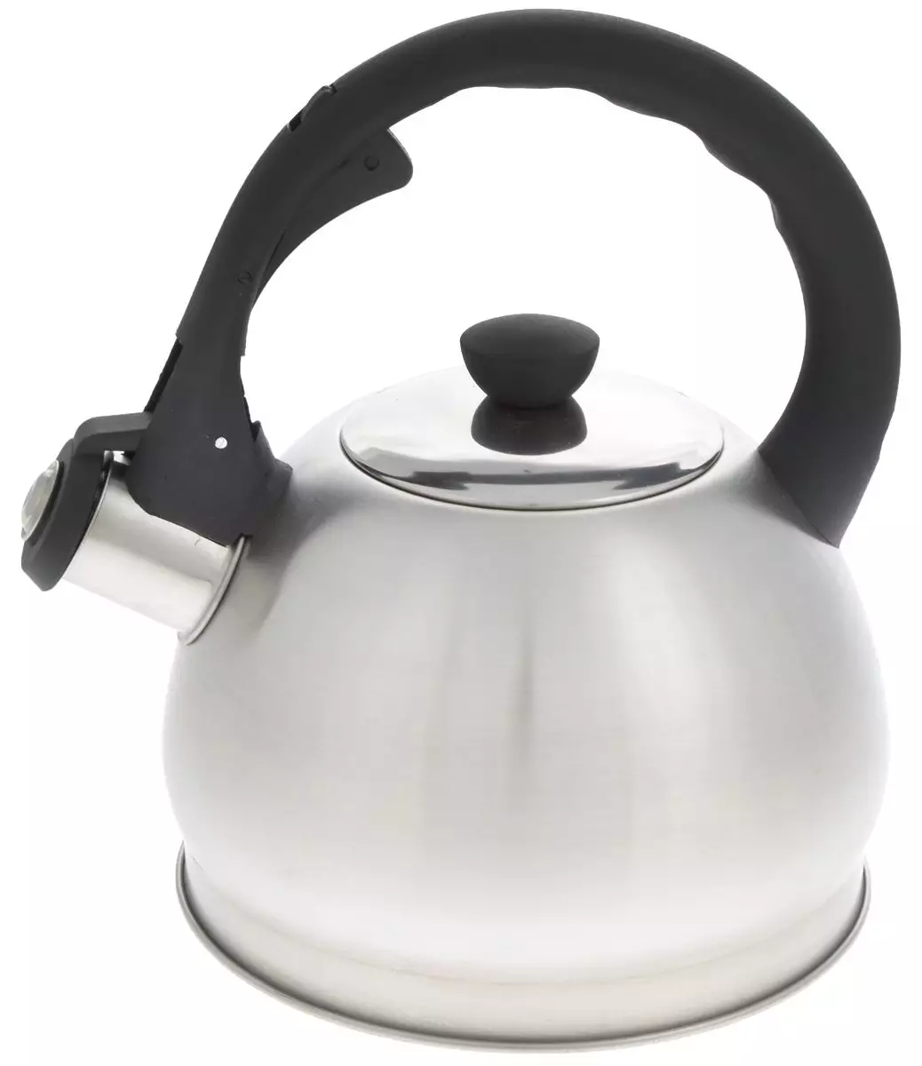 Kettle with a whistle (39 photos): enameled metal and other models for gas and other plates. Rating of the best German, Russian and other manufacturers 10767_16