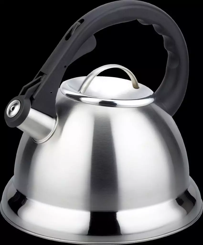 Kettle with a whistle (39 photos): enameled metal and other models for gas and other plates. Rating of the best German, Russian and other manufacturers 10767_8