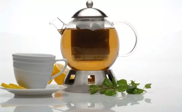 茶壶（42张照片）：焊接茶的菜肴，带按钮和弦的型号，吉普欧尔和较高，Mayer＆Boch和Bodum 10779_2