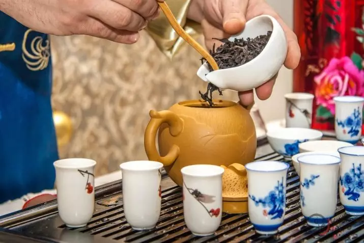 Teapot (42 sary): lovia ho an'ny dite mafana, modely misy bokotra sy kofehy, Gipfel ary avo kokoa, Mayer & Boch ary Bodum 10779_3