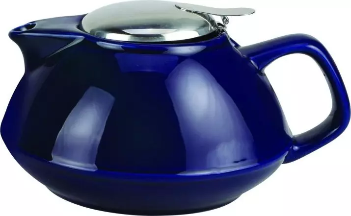 Teapot (42 grianghraf): Miasa le haghaidh tae táthú, samhlacha le cnaipe agus teaghrán, gipfel agus níos airde, Mayer & Bodum 10779_32