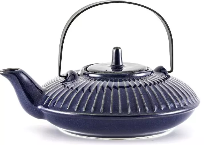 Teapot (42 Poto): Masakan kanggo Las Was Was, Model sareng tombol sareng string, gipfel sareng jangkungna & Box sareng bantal 10779_38