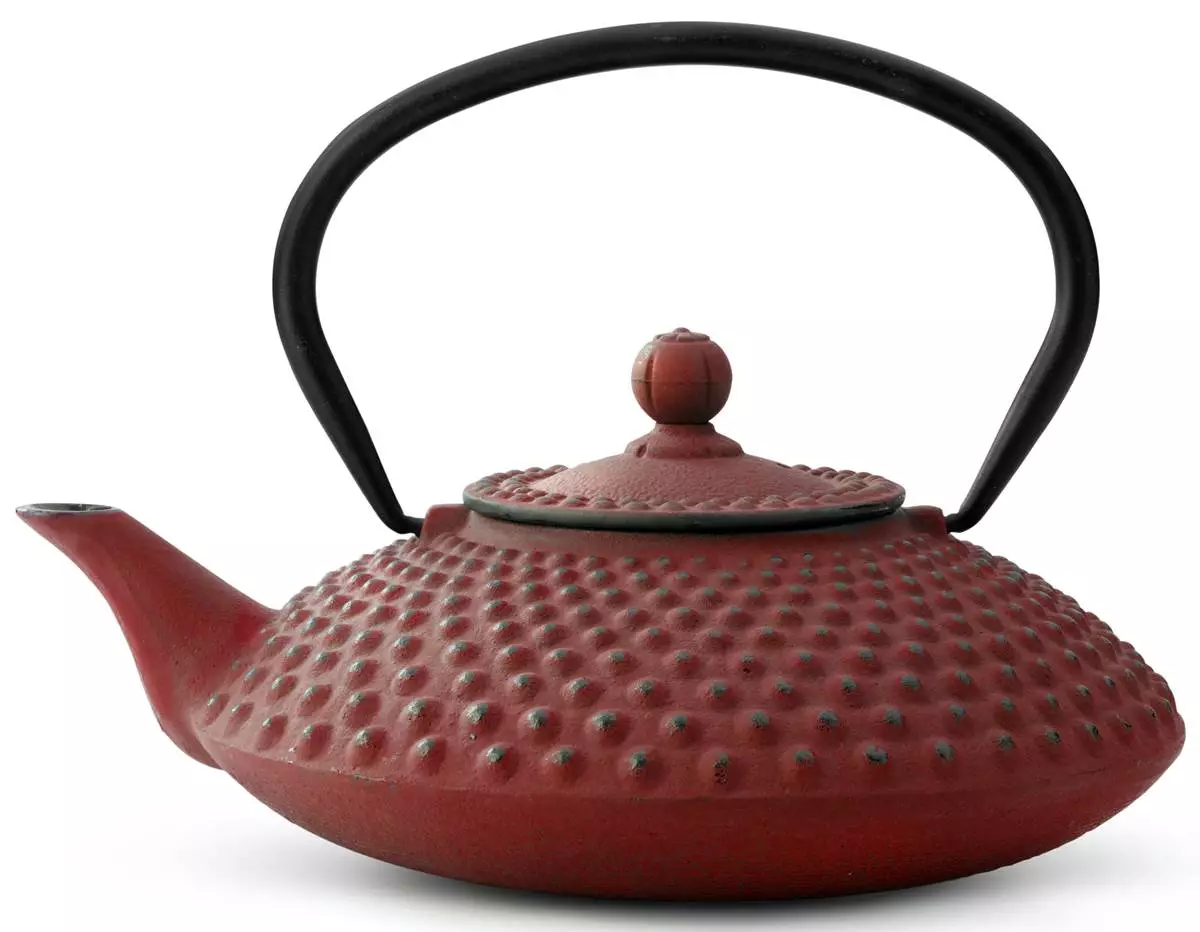 Teapot (42 sary): lovia ho an'ny dite mafana, modely misy bokotra sy kofehy, Gipfel ary avo kokoa, Mayer & Boch ary Bodum 10779_6