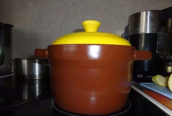 Casseroles en céramique: Le choix d'un pot en céramique avec un couvercle pour le gaz et d'autres plaques. Faire chauffer des ensembles résistants pour le four. Propriété Reviews 10784_24