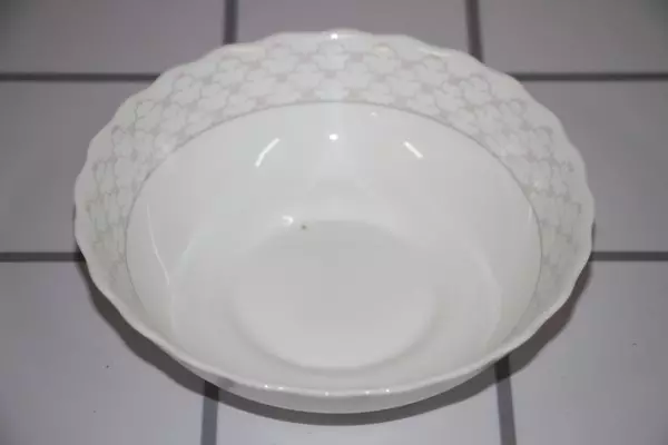 Ware desde Opal Glass: ¿Qué es? ¿Nocivo o útil para la salud? ¿Puedo usar platos para microondas? 10823_13