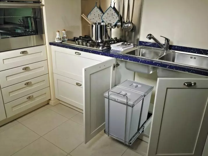 Ein Eimer für Müll an der Tür (25 Fotos): Wie kann man einen Suspensionsbehälter für eine Küche für ein Waschbecken wählen? Wie kann man es an der Tür des Küchenkabinetts reparieren? 10941_21