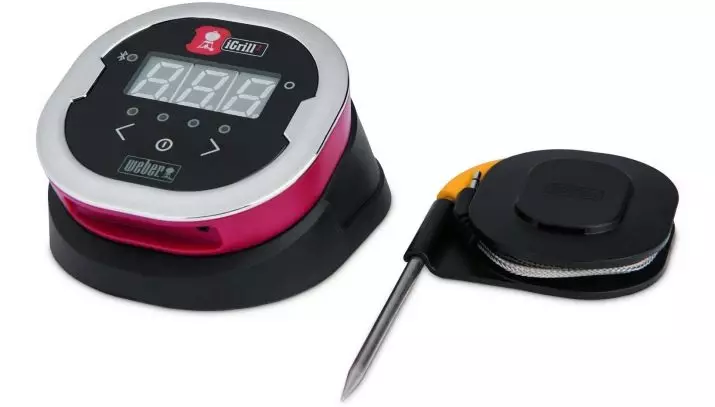 Termometer dengan dipstick: Apa itu termometer dapur digital dengan probe jarak jauh? Varietas elektronik dan mekanik untuk mengukur suhu hidangan panas 10953_16