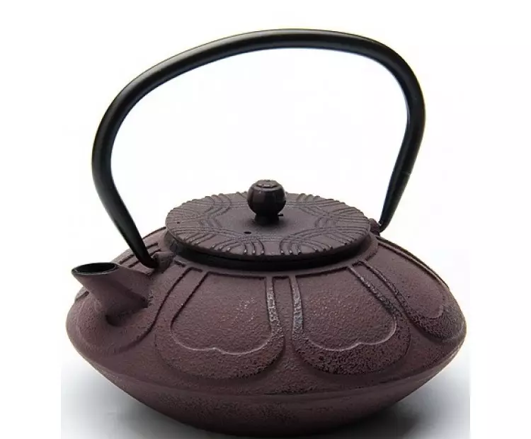 鋳鉄溶接のティーポット：茶醸造のために鋳鉄からやかんを選ぶには？長所と短所。レビュー 10986_10