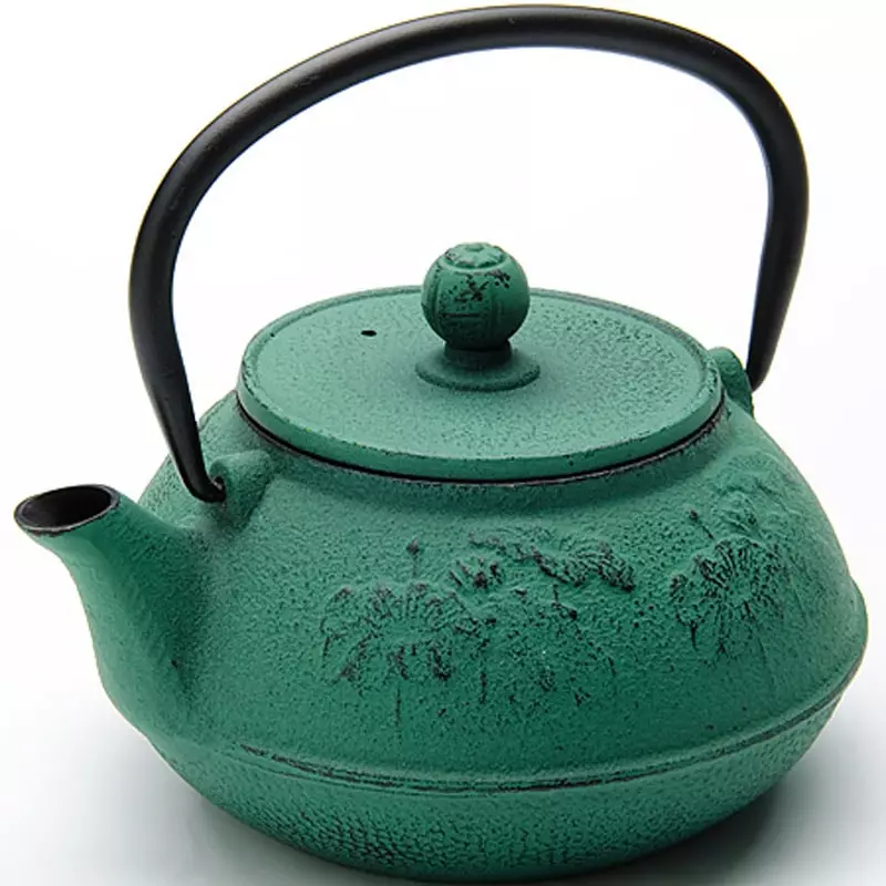 鋳鉄溶接のティーポット：茶醸造のために鋳鉄からやかんを選ぶには？長所と短所。レビュー 10986_4