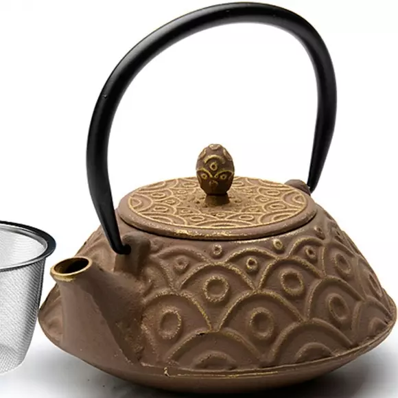 يلقي أقداح الشاي لحام الحديد: كيفية اختيار غلاية من الحديد الزهر للتخمير الشاي؟ المميزات والعيوب. تقييم 10986_5