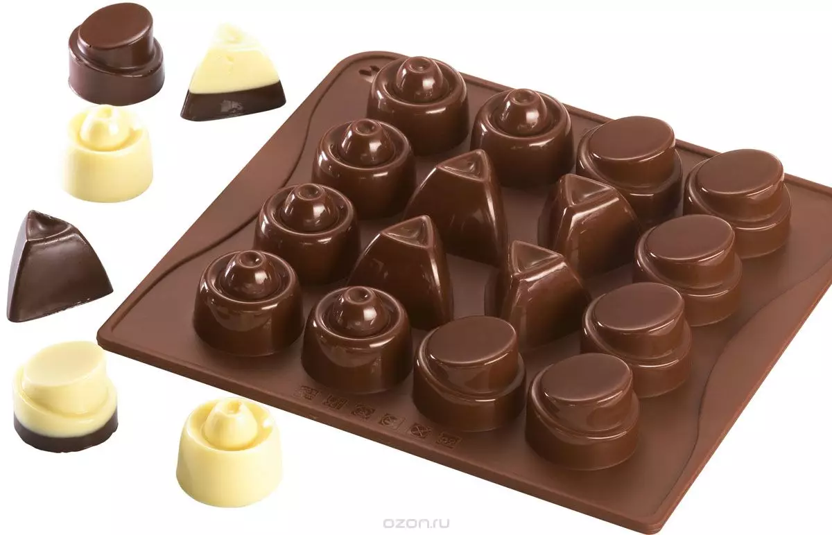 Nga porma alang sa chocolate: sa pagpili sa Moldes. Plastic ug polycarbonate, silicone ug uban pang mga agup-op 11002_7