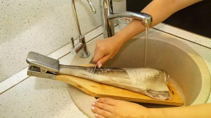 ماهی های ماهی: چگونه یک تخته تمیز کردن ماهی را با یک گیره انتخاب کنید؟ 11049_9