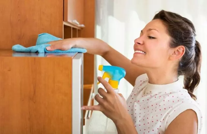Բնակարանում մաքրում. Ինչպես հեռացնել սենյակներում եւ որտեղից սկսել: Արագ ամեն օր եւ շաբաթական մաքրում: Ինչպես կատարել պլան եւ այն ճիշտ անցկացնել ձեր սեփական ձեռքերով: 11069_10