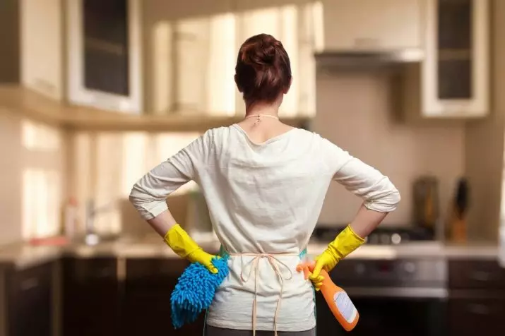 アパートメントの清掃：部屋で取り外し、どこから始めるか？毎日と毎週の清掃。計画を立てて自分の手でそれを正しく過ごす方法は？ 11069_12