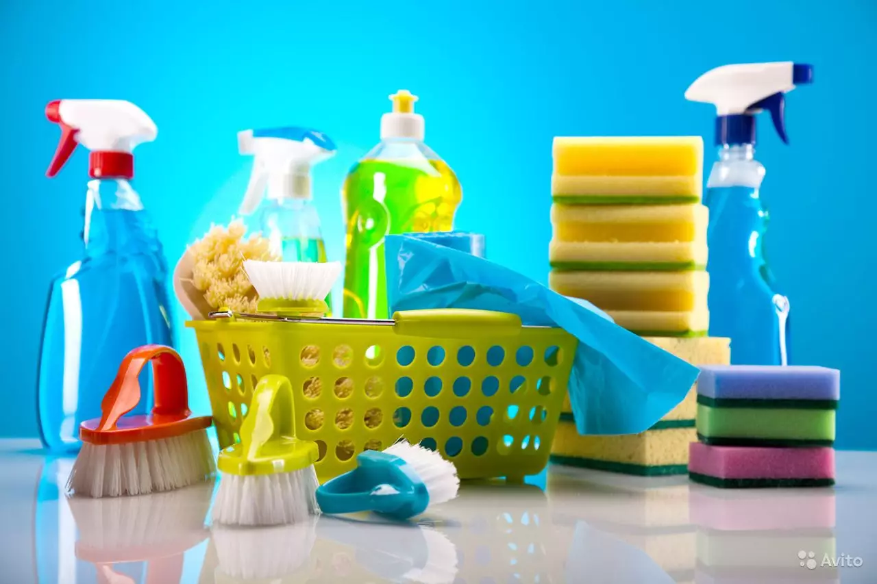 Agents de nettoyage professionnels: détergents et produits de nettoyage pour appartements et maison, choix d'installations pour le nettoyage