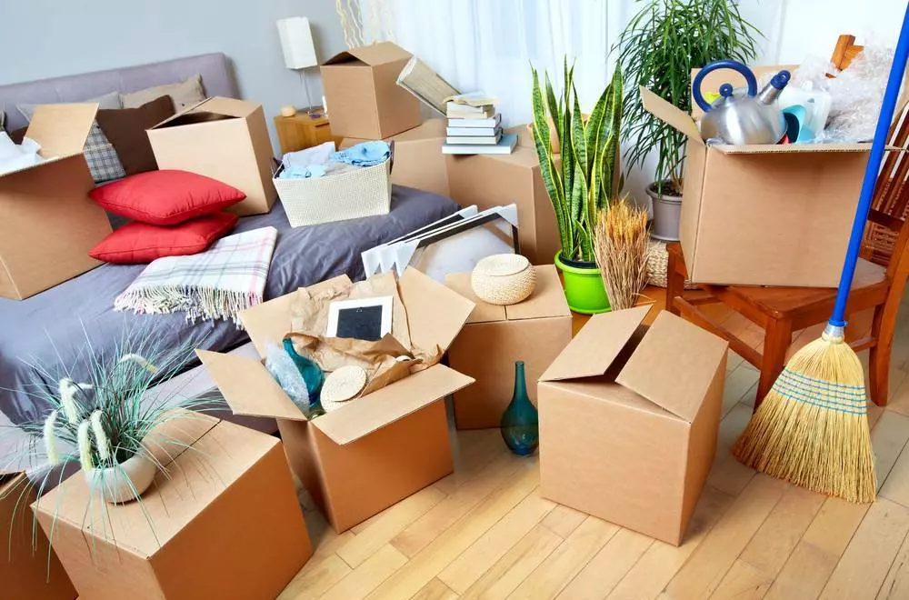Lifhhaki pro čištění: regály v domě a apartmánu, rychlý pokoj. Jak odstranit dráty a věci? Vyčistěte a pohodlí 11080_22