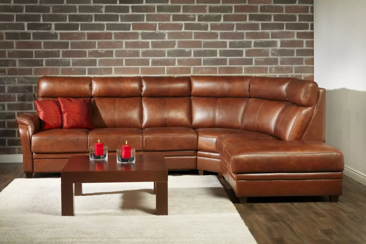 Rengøring af sofaen hjemme (50 billeder): Hvordan man hurtigt og effektivt rengør stoffets polstring fra snavs og glide med dine egne hænder? 11092_13