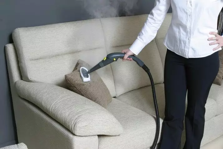 Pulizia del divano a casa (50 foto): come pulire rapidamente ed efficacemente la tappezzeria del tessuto dalla sporcizia e scivolare con le tue mani? 11092_23