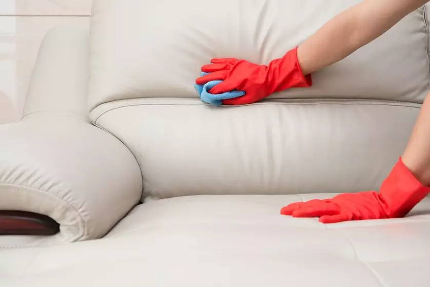 在家裡清潔沙發（50張照片）：如何快速有效地清潔織物的內飾，用自己的手滑動污垢和滑動？ 11092_3