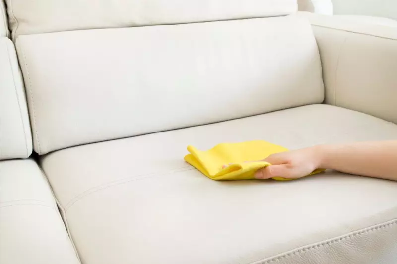 在家裡清潔沙發（50張照片）：如何快速有效地清潔織物的內飾，用自己的手滑動污垢和滑動？ 11092_34
