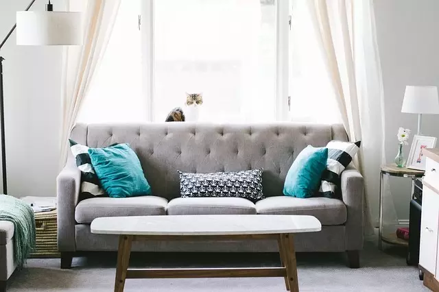 Rengøring af sofaen hjemme (50 billeder): Hvordan man hurtigt og effektivt rengør stoffets polstring fra snavs og glide med dine egne hænder? 11092_4