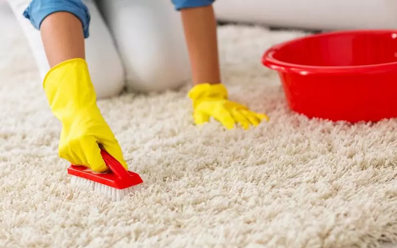 Како да го исчистите тепихот дома? 56 слики Како брзо и ефикасно да се отстрани нечистотијата од волнена паланx и лесна тепих куќа 11125_19