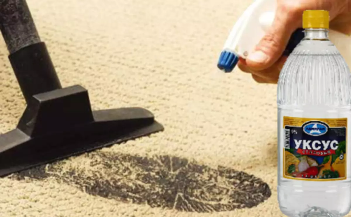 自宅でカーペットを掃除する方法は？ 56撮影されたウールのパラニックスと軽いカーペットハウスから汚れをすばやく効果的に取り除く方法 11125_22