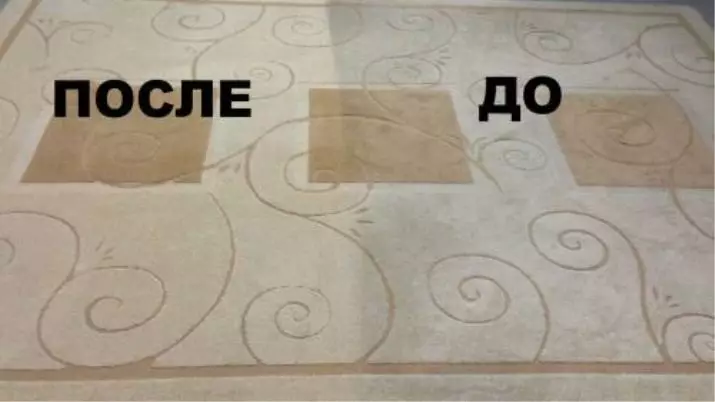 איך לנקות את השטיח בבית? 56 תמונות כיצד במהירות וביעילות להסיר לכלוך מתוך צמר פאלנקס אור השטיח אור 11125_27