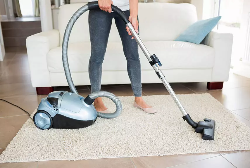 Како да го исчистите тепихот дома? 56 слики Како брзо и ефикасно да се отстрани нечистотијата од волнена паланx и лесна тепих куќа 11125_3
