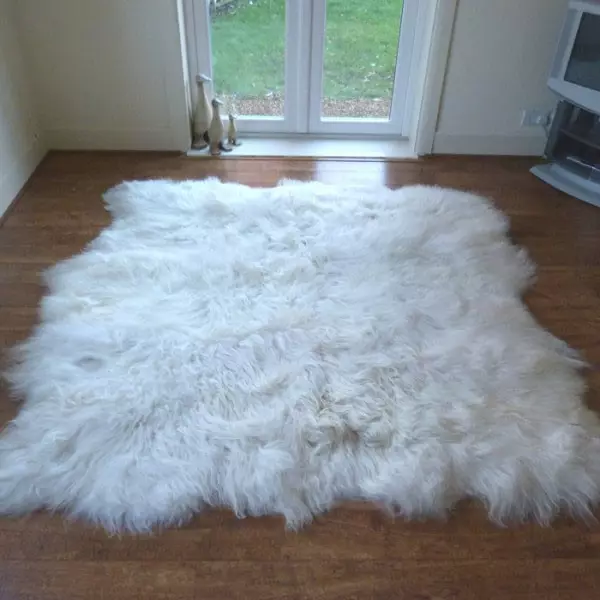 Como limpar a alfombra na casa? 56 Fotos Como eliminar de xeito rápido e eficaz a suciedade dunha casa de alfombras de la e láminas 11125_46