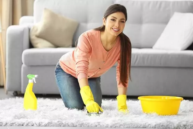 Як почистити килим в домашніх умовах? 56 фото Як швидко і ефективно прибрати бруд з вовняного килима і світлого ковроліну будинку 11125_5