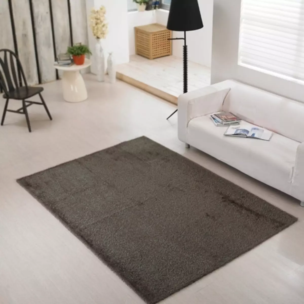 איך לנקות את השטיח בבית? 56 תמונות כיצד במהירות וביעילות להסיר לכלוך מתוך צמר פאלנקס אור השטיח אור 11125_51
