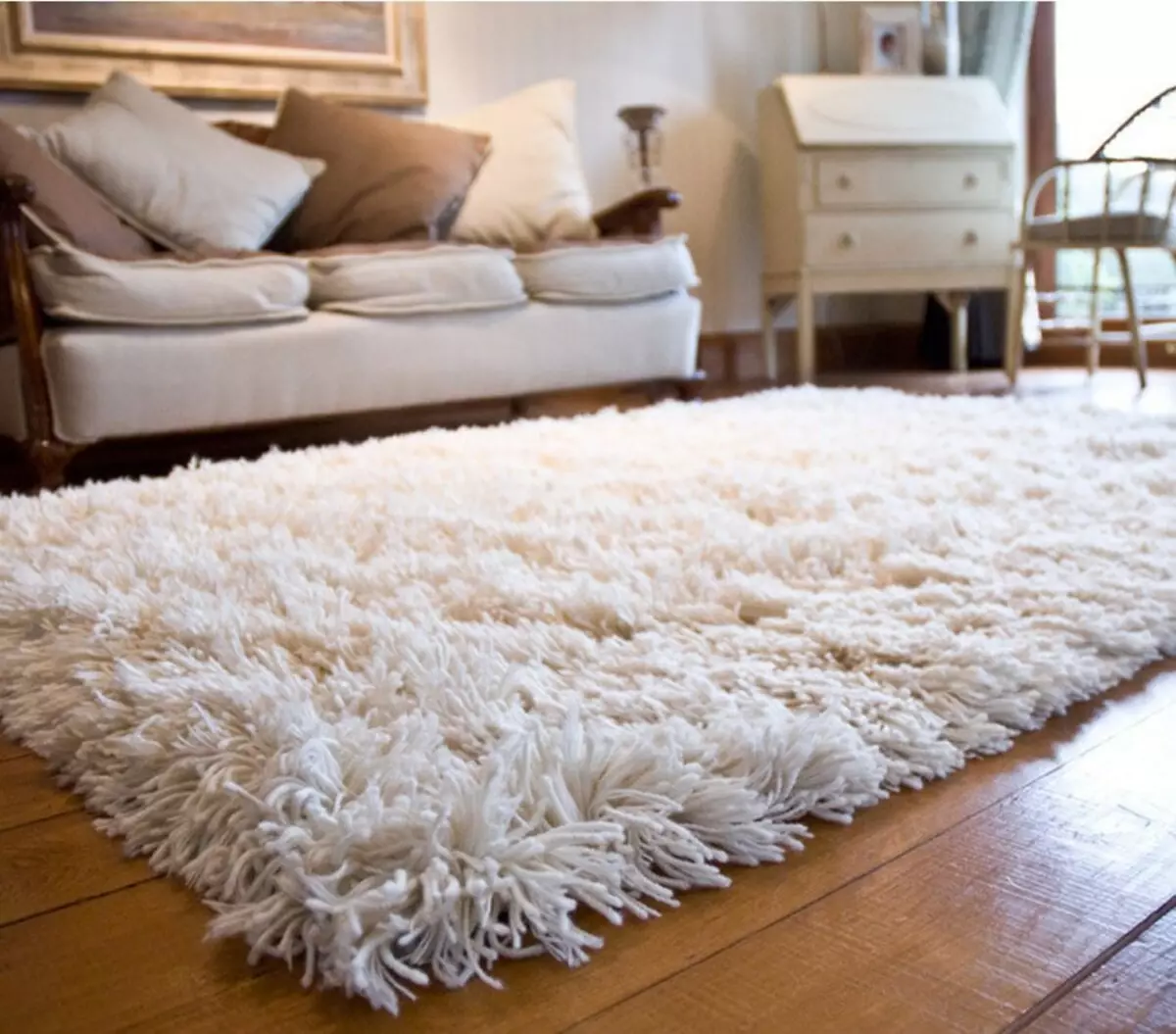 Hoe het tapijt thuis schoon te maken? 56 Foto's Hoe snel en effectief vuil uit een wollen palanx en licht tapijthuis te verwijderen 11125_53