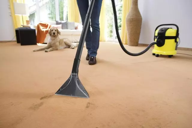 Як почистити килим в домашніх умовах? 56 фото Як швидко і ефективно прибрати бруд з вовняного килима і світлого ковроліну будинку 11125_9