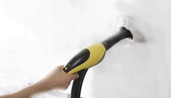How to wash the stretch ceiling? 22 photos than laundering a glossy or matte coating without divorces, how to quickly clean at home, how to remove yellow spots 11135_17