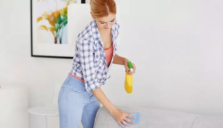Kā tīrīt dīvānu mājās? 40 Ko noņemt netīrumu traipus bez laulības šķiršanas no apdares auduma, kā mazgāt mēbeļu virsmu soda, etiķa vai 