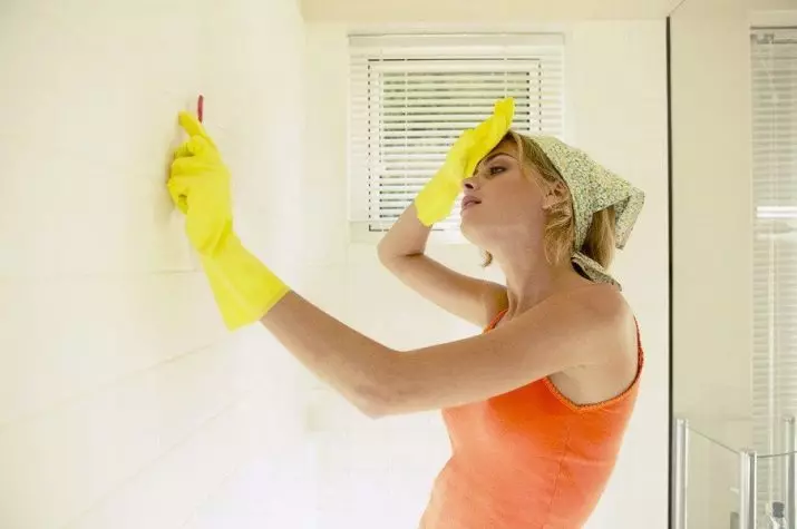 איך לשטוף את האריח בחדר האמבטיה מן הנפילה: איך להסיר את התבנית על התפרים ולשטוף את האריח מן LimetRoke לחדר נצנצים, ומסות עם סוכני משק הבית 11154_25
