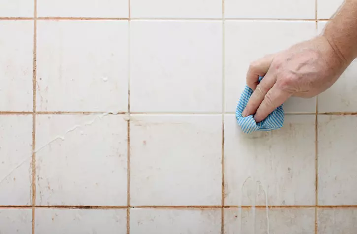 Cum să spălați țiglă în baie de la toamnă: Cum să scoateți mucegaiul pe cusături și să spălați țigla de la limetroke la glitterul de cameră și să se amestece cu agenți de uz casnic 11154_3
